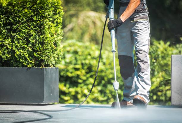 Best Animal Enclosure Cleaning  in , IA